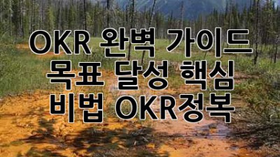 OKR 완벽 가이드🚀 목표 달성 핵심 비법! #OKR정복