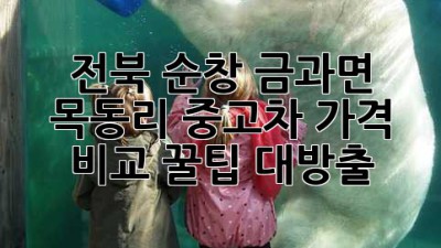 전북 순창 금과면 목동리 중고차 가격 비교! 꿀팁 대방출 🚗💨