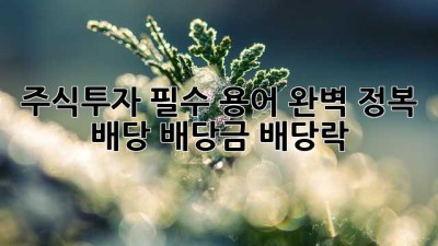 주식투자 필수 용어 완벽 정복! 배당, 배당금, 배당락